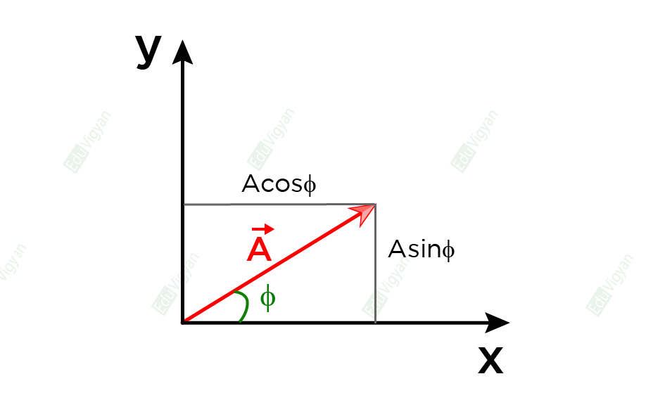 A vector resolved into x and y components Ax and Ay